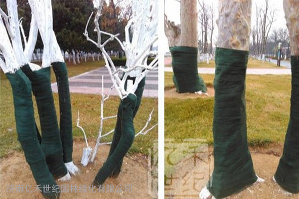 园林植物防冻，温暖过冬保护